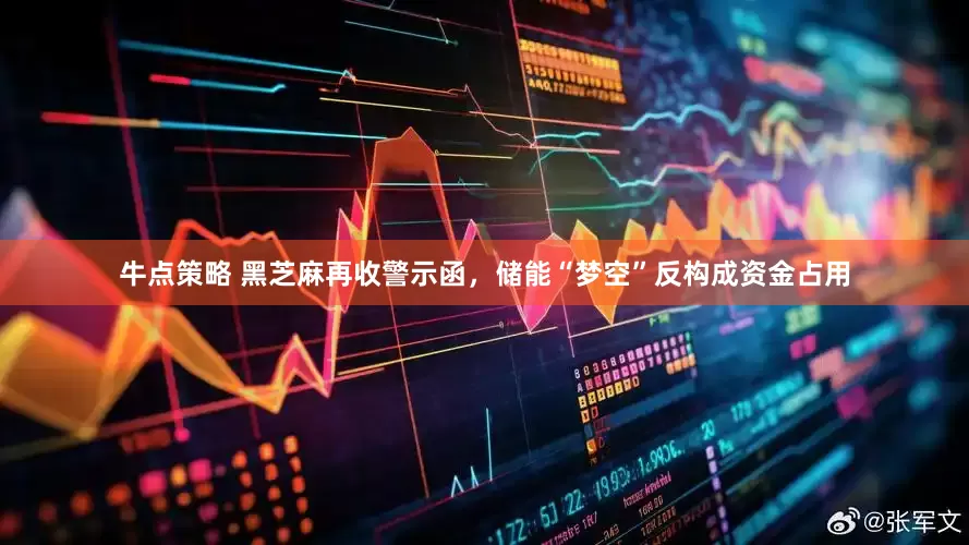 牛点策略 黑芝麻再收警示函，储能“梦空”反构成资金占用