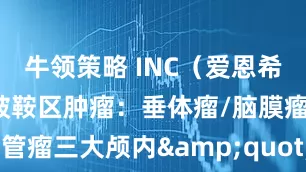 牛领策略 INC（爱恩希）福教授刀破鞍区肿瘤：垂体瘤/脑膜瘤/颅咽管瘤三大颅内&quot;暗雷&quot;如何精准拆除？_患者_手术_治疗