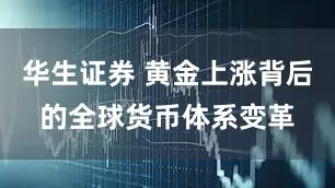 华生证券 黄金上涨背后的全球货币体系变革